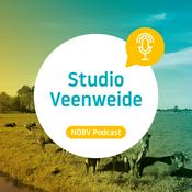 Podcast Studio Veenweide