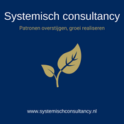 Podcast Systemisch consultancy