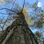 Podcast Sztuka Intuicji