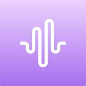 Podcast Taxi from Schiphol Airport