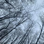 Podcast Technotwerps