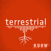 Podcast terrestrial