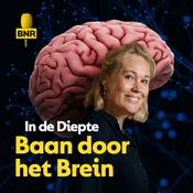 Podcast In de Diepte: Baan door het Brein