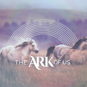 Podcast The Ark of Us