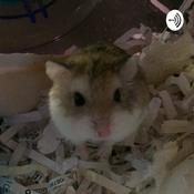 Podcast The hamster care podcast!