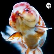 Podcast THE JOY OF AQUASCAPING PODCAST