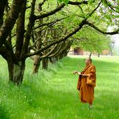 Podcast ธรรมบรรยายล่าสุด โดย พระกฤช นิมฺมโล