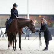 Podcast De "goed bekeken" paardenpodcast door Bianka Farkas en Celine van der Stroom