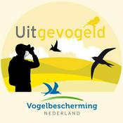 Podcast Uitgevogeld