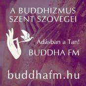 Podcast Üzenet az őzek ligetéből