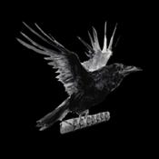Podcast Vaping Raven - Life of Vapor