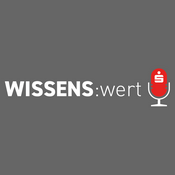 Podcast Wissens:Wert