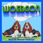 Podcast WOEBGON the Basset Hound Podcast