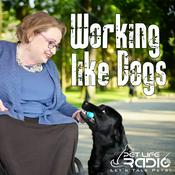 Podcast Working Like Dogs - Service Dogs and Working Dogs  - Pet Life Radio Original