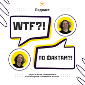 Podcast WTF?! По фактам?!