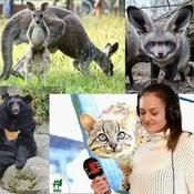 Podcast Z mikrofonem wśród zwierząt