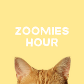 Podcast ZOOMIES HOUR