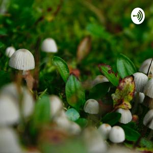 A Whole Buncha Fungis