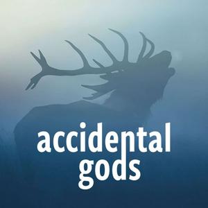 Luister naar Accidental Gods in de app