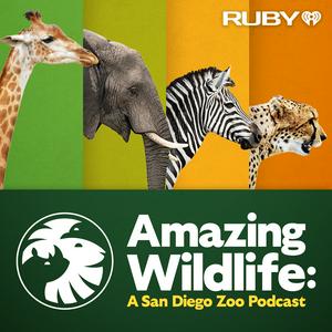 Luister naar Amazing Wildlife: A San Diego Zoo Podcast in de app