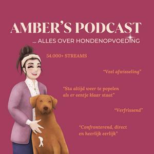Amber's Podcast