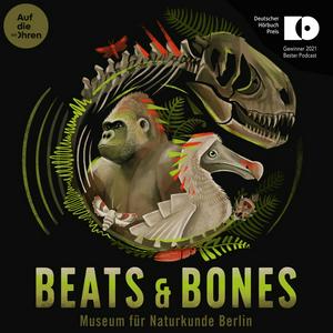 Luister naar Beats & Bones in de app