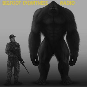 Luister naar Bigfoot Eyewitness Radio in de app