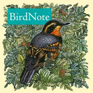 Luister naar BirdNote Daily in de app