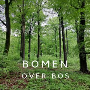 Luister naar Bomen over bos in de app