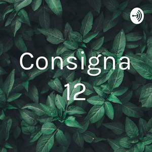 Consigna 12