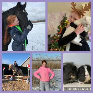 De dierenpraatjes van Aimée