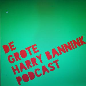 Luister naar De Grote Harry Bannink Podcast in de app