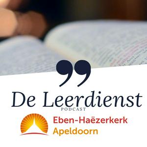 De Leerdienst