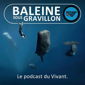 Luister naar Baleine sous Gravillon in de app