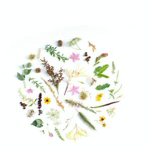 أذكار الصباح