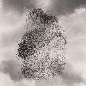 Een zwerm spreeuwen - een mozaïekvertelling