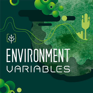 Luister naar Environment Variables in de app