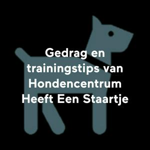 Luister naar Gedrag en trainingstips van Hondencentrum Heeft Een Staartje in de app