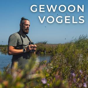 Luister naar Gewoon Vogels in de app