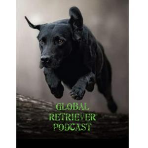 Luister naar Global Retriever Podcast in de app