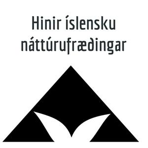 Luister naar Hinir íslensku náttúrufræðingar in de app