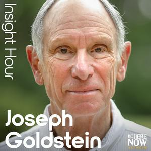 Luister naar Insight Hour with Joseph Goldstein in de app