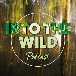 Luister naar Into The Wild in de app