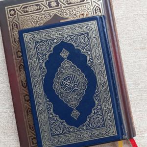 Luister naar Quran in Audio (Multilingual) in de app