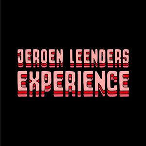 Jeroen Leenders Experience