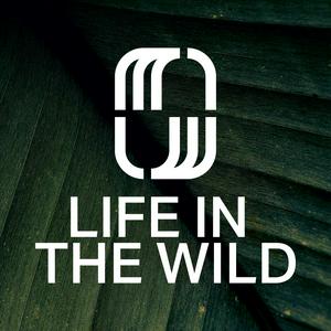 Luister naar Life In The Wild with Michael Bethany in de app