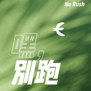 Luister naar 嘿，别跑 in de app