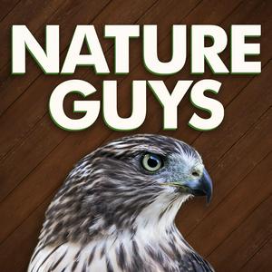 Luister naar Nature Guys in de app