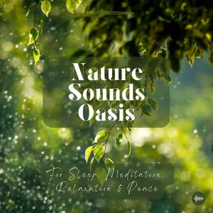 Luister naar Nature Sounds Oasis | Relaxing Nature Sounds For Sleep, Meditation, Relaxation Or Focus | Sounds Of Nature | Sleep Sounds, Sleep Music, Meditation Sounds, Ocean Waves, Rain, White Noise & More in de app