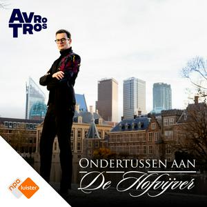 Ondertussen aan de Hofvijver